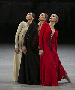 Forgotten Land. Premiere of the ballet