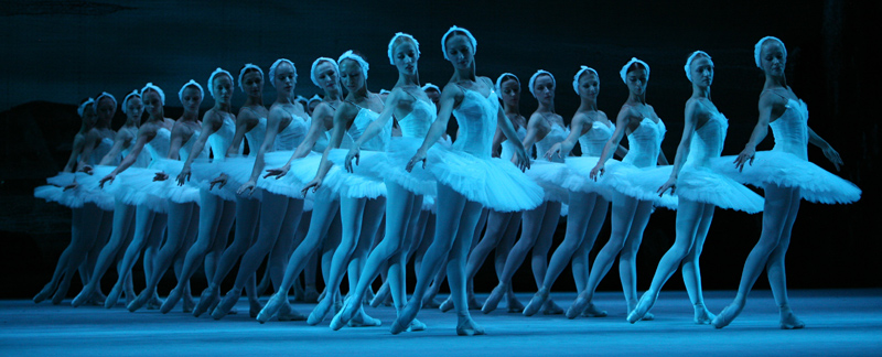 Swan lake. Photo by Andrei Melanyin.