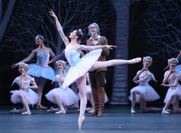 As The Queen of the Dryads in Don Quixote.Alexei Loparevich as Don Quixote. Photo by Elena Fetisova.